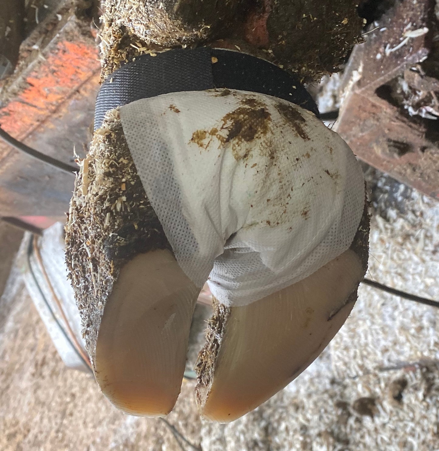 WunderEcoWrap - 10 Pack